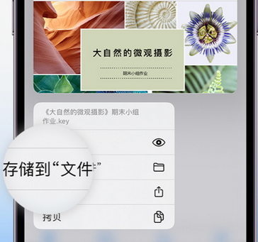 汉川apple维修中心分享iPhone文件应用中存储和找到下载文件