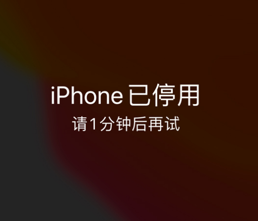 汉川苹果手机维修分享:iPhone 显示“不可用”或“已停用”怎么办？还能保留数据吗？ 