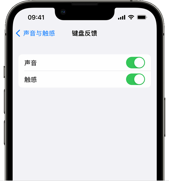 汉川苹果14维修店分享如何在 iPhone 14 机型中使用触感键盘 