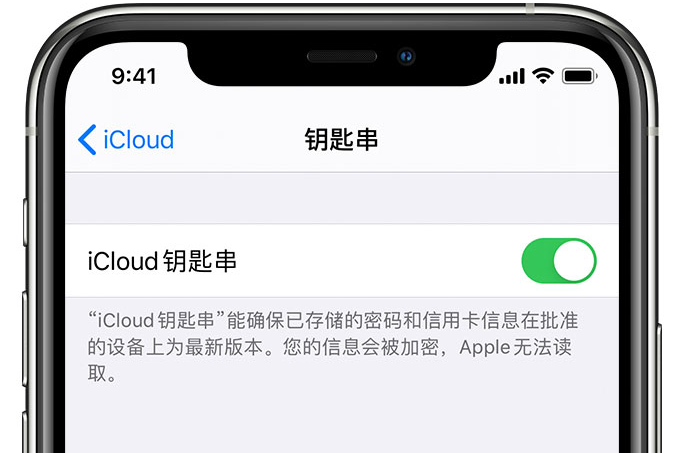 汉川苹果手机维修分享在 iPhone 上开启 iCloud 钥匙串之后会储存哪些信息 